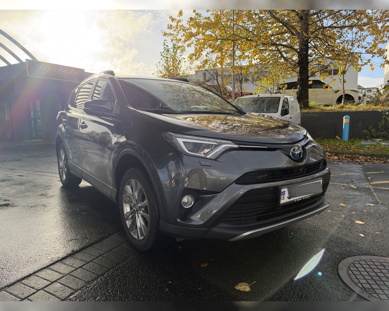 2018 Toyota RAV4 VX