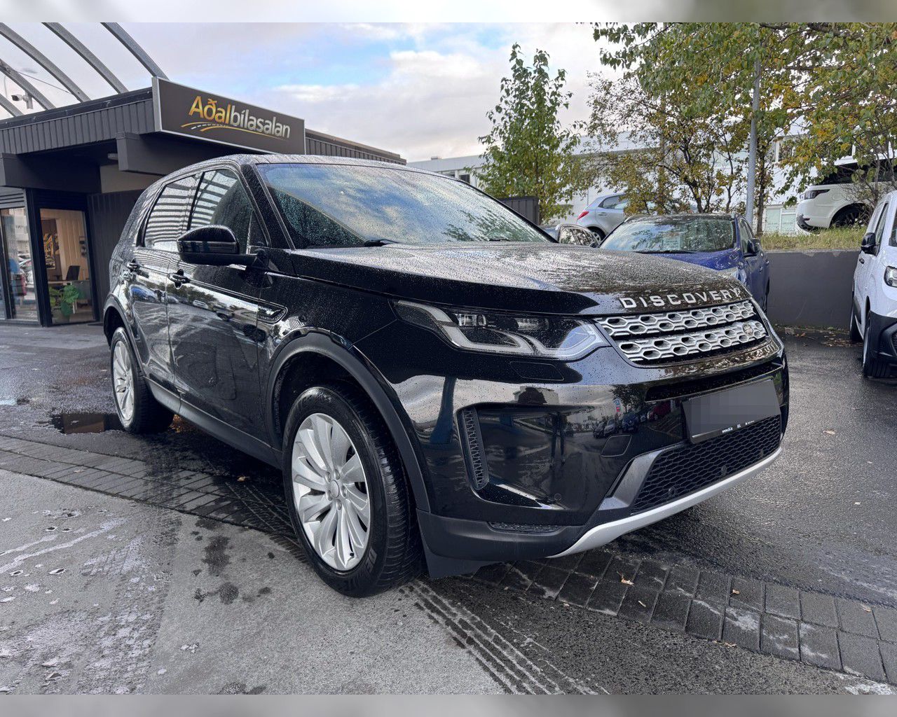 2020 Land Rover Discovery Sport SE P300E